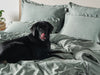 Classic Luxe Duvet Cover Set | 600 Thread Count